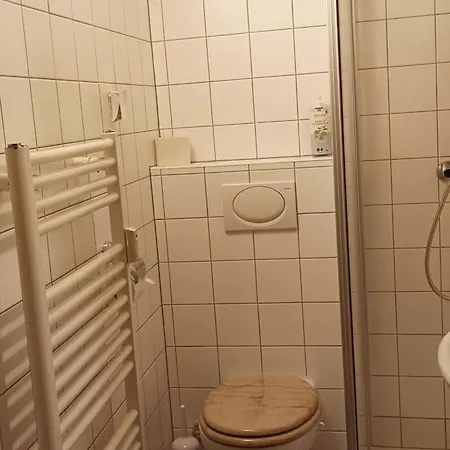 Altmuehle